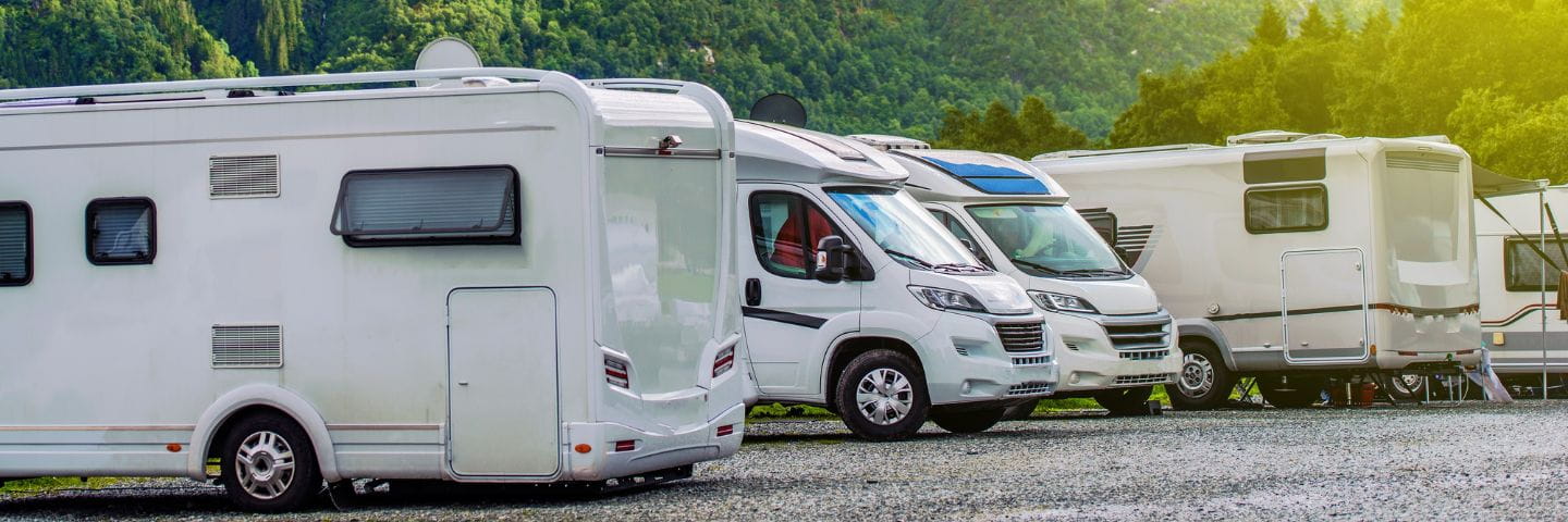 Vehicle Rodent Defense Services