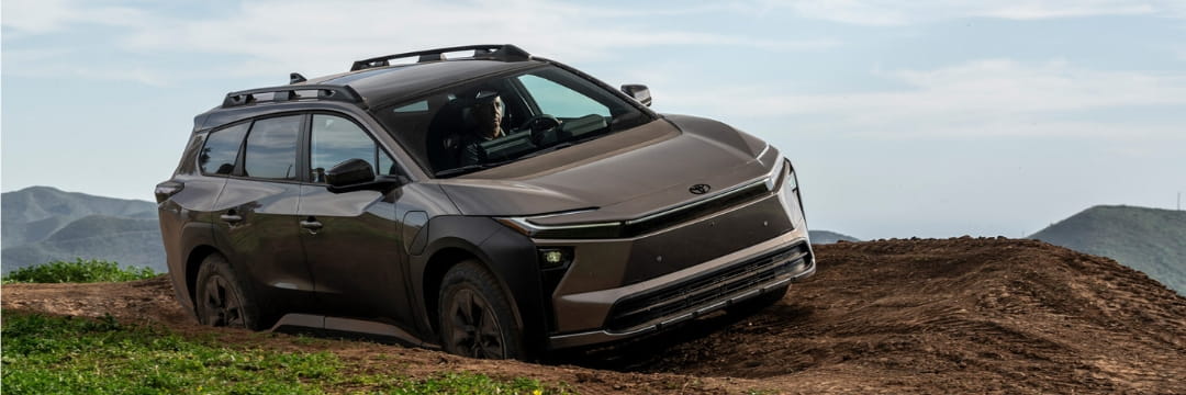 EV vehicle rodent protection