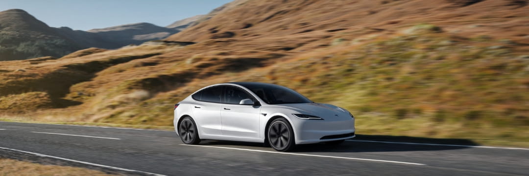 EV vehicle rodent protection
