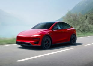 Tesla Rodent Damage